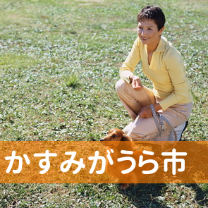 茨城県かすみがうら市の消費者金融へ