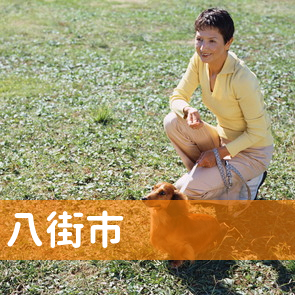 千葉県八街市の消費者金融へ