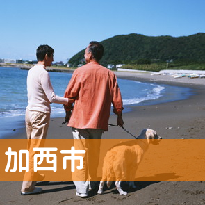 兵庫県加西市の消費者金融へ