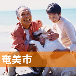 鹿児島県奄美市の消費者金融へ