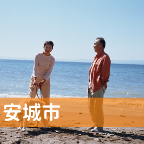愛知県安城市の消費者金融へ