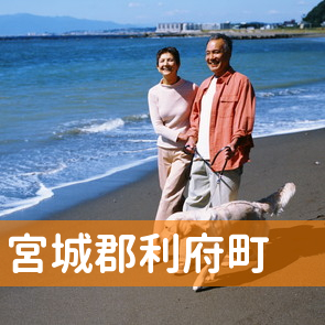宮城県宮城郡利府町の消費者金融へ