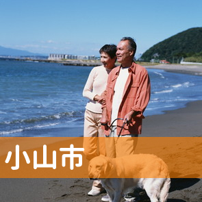 栃木県小山市の消費者金融へ