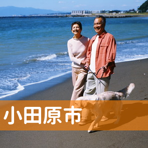神奈川県小田原市の消費者金融へ