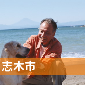 埼玉県志木市の消費者金融へ