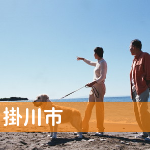 静岡県掛川市の消費者金融へ