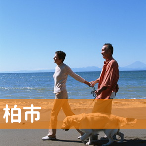 千葉県柏市の消費者金融へ