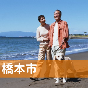 和歌山県橋本市の消費者金融へ