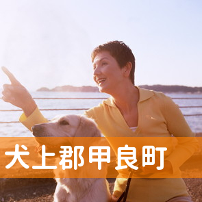 滋賀県犬上郡甲良町の消費者金融へ