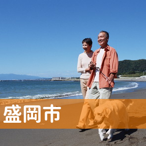 岩手県盛岡市の消費者金融へ