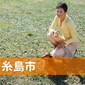 福岡県糸島市の消費者金融へ