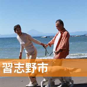 千葉県習志野市の消費者金融へ