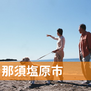 栃木県那須塩原市の消費者金融へ