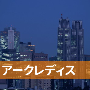 沖縄県那覇市の（有）アークレディスへ