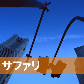 大分県大分市のサファリへ