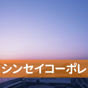 東京都台東区の（株）シンセイコーポレーションへ