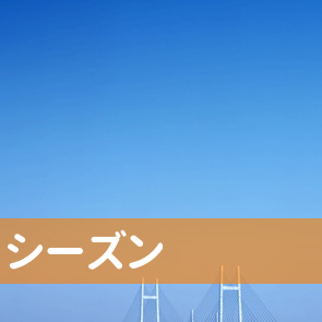 シーズン