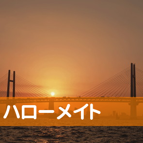 大阪府大阪市淀川区のハローメイトへ