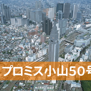 栃木県小山市のプロミス（株）小山５０号支店へ