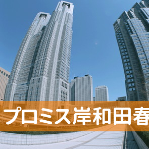 大阪府岸和田市のプロミス（株）岸和田春木支店へ