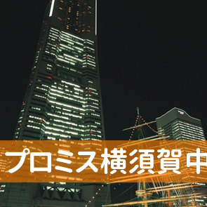 神奈川県横須賀市のプロミス（株）横須賀中央支店へ