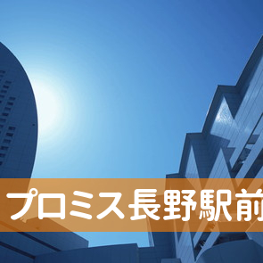 長野県長野市のプロミス（株）長野駅前支店へ