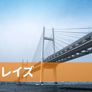 愛媛県松山市の（有）レイズへ