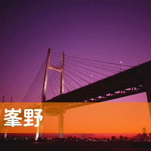 大分県大分市の（株）峯野／本店へ