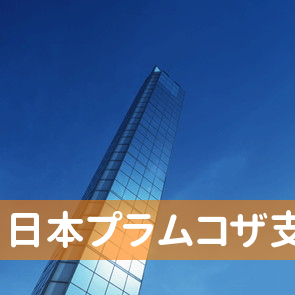 沖縄県沖縄市の（株）日本プラムコザ支店へ