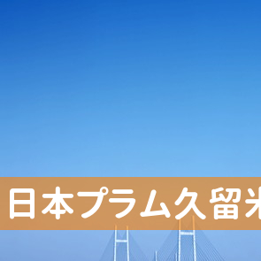福岡県久留米市の（株）日本プラム久留米支店へ