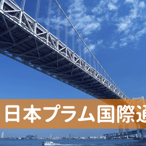 沖縄県那覇市の（株）日本プラム国際通支店へ