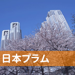 京都府京都市下京区の（株）日本プラム／四条大宮支店へ