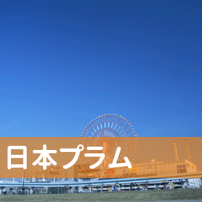 宮崎県宮崎市の（株）日本プラム／宮崎支店へ