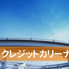 （有）クレジットカリーナ