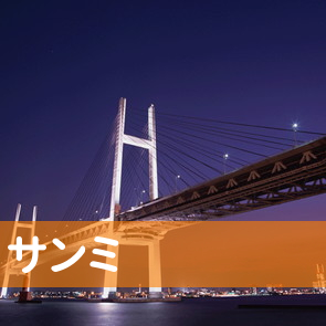 （株）サンミ／東京店