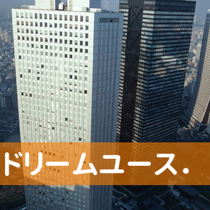 （株）ドリームユース．