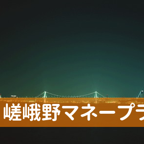 （株）嵯峨野マネープラザ・サガノ松山店